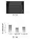 Fig. 17 - Nanoparticle - Biocide Treatment of Biofilms