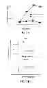 Fig. 05 - EXOSOMAL COMPOSITIONS AND METHODS FOR THE TREATMENT OF DISEASE