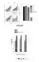 Fig. 08 - EXOSOMAL COMPOSITIONS AND METHODS FOR THE TREATMENT OF DISEASE