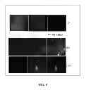 Fig. 12 - EXOSOMAL COMPOSITIONS AND METHODS FOR THE TREATMENT OF DISEASE
