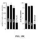 Fig. 14 - EXOSOMAL COMPOSITIONS AND METHODS FOR THE TREATMENT OF DISEASE