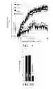 Fig. 17 - EXOSOMAL COMPOSITIONS AND METHODS FOR THE TREATMENT OF DISEASE