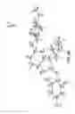 Fig. 12 - Pharmaceutical formulations of a substituted diaminopurine