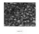 Fig. 13 - Highly compactable and durable direct compression excipients and excipient systems