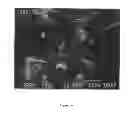 Fig. 15 - Highly compactable and durable direct compression excipients and excipient systems