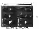 Fig. 19 - Stable layer-by-layer coated particles