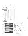 Fig. 73 - Stable layer-by-layer coated particles