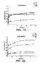 Fig. 05 - Silk-based drug delivery system