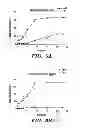 Fig. 06 - Silk-based drug delivery system