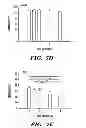 Fig. 11 - Silk-based drug delivery system
