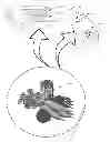 Fig. 01 - READY TO EAT DEEP FRIED VEGETABLES AS APPETIZER AND SNACK