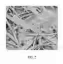 Fig. 03 - Hybrid fiber compositions and uses in containerboard packaging