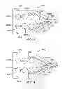 Fig. 03 - Film with alternating stripes and strands and apparatus and method for making the same