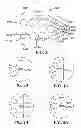 Fig. 04 - Film with alternating stripes and strands and apparatus and method for making the same