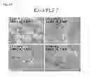 Fig. 25 - Porous UOsintered pellet for electroreduction process, and preparation method thereof