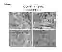 Fig. 28 - Porous UOsintered pellet for electroreduction process, and preparation method thereof