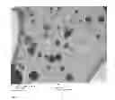 Fig. 06 - METHOD FOR DEPOSITING CRYSTALLINE TITANIA NANOPARTICLES AND FILMS