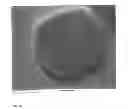 Fig. 11 - METHOD FOR DEPOSITING CRYSTALLINE TITANIA NANOPARTICLES AND FILMS