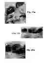 Fig. 32 - Magnetic stack including TiN-X intermediate layer