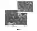 Fig. 05 - Carbon Nanotube-Based Electrode and Rechargeable Battery