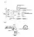 Fig. 02 - Modified Natural Graphite Particles