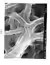 Fig. 04 - Nanofibrous electrocatalysts
