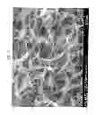 Fig. 09 - Nanofibrous electrocatalysts