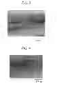 Fig. 03 - SOLID POLYMER ELECTROLYTE MEMBRANE AND FUEL CELL USING THE SAME