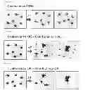 Fig. 02 - Liquid developer dispersion for digital printing process