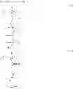 Fig. 63 - RESIST COMPOSITION FOR EUV OR EB AND METHOD OF FORMING RESIST PATTERN