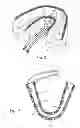 Fig. 03 - Concurrent treatment of oral and systemic maladies in animals using electrical current