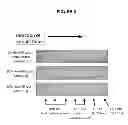 Fig. 07 - Lateral flow assays for tagged analytes