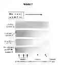 Fig. 08 - Lateral flow assays for tagged analytes