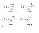 Fig. 07 - Synthesis of cleavable fluorescent nucleotides as reversible terminators for DNA sequencing by synthesis