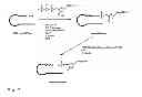 Fig. 08 - Synthesis of cleavable fluorescent nucleotides as reversible terminators for DNA sequencing by synthesis