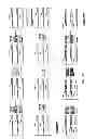 Fig. 28 - Synthesis of cleavable fluorescent nucleotides as reversible terminators for DNA sequencing by synthesis