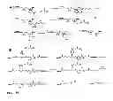 Fig. 35 - Synthesis of cleavable fluorescent nucleotides as reversible terminators for DNA sequencing by synthesis