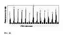Fig. 37 - Synthesis of cleavable fluorescent nucleotides as reversible terminators for DNA sequencing by synthesis