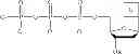 Fig. 52 - Synthesis of cleavable fluorescent nucleotides as reversible terminators for DNA sequencing by synthesis