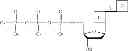 Fig. 68 - Synthesis of cleavable fluorescent nucleotides as reversible terminators for DNA sequencing by synthesis