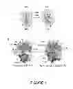 Fig. 02 - Single molecule imaging techniques to aid crystallization