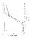Fig. 06 - Method for detecting mitochondria gene alterations