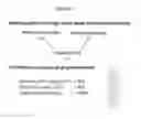 Fig. 40 - PROCESSES AND COMPOSITIONS FOR METHYLATION-BASED ENRICHMENT OF FETAL NUCLEIC ACID FROM A MATERNAL SAMPLE USEFUL FOR NON-INVASIVE PRENATAL DIAGNOSES