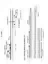 Fig. 03 - Cross priming amplification of target nucleic acids