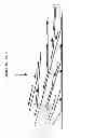 Fig. 19 - Cross priming amplification of target nucleic acids
