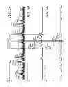 Fig. 07 - Nicking and extension amplification reaction for the exponential amplification of nucleic acids