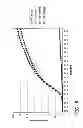 Fig. 10 - Nicking and extension amplification reaction for the exponential amplification of nucleic acids