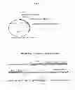 Fig. 04 - Process for Identifying Novel Anti-Inflammatory Molecules with Reduced Direct Transrepression of Genes Induced by Glucocorticoids