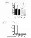 Fig. 04 - Method of anaerobic tissue-targeted gene expression initiated by alcohol dehydrogenase promoter and the application thereof