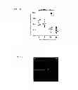 Fig. 05 - Method of anaerobic tissue-targeted gene expression initiated by alcohol dehydrogenase promoter and the application thereof